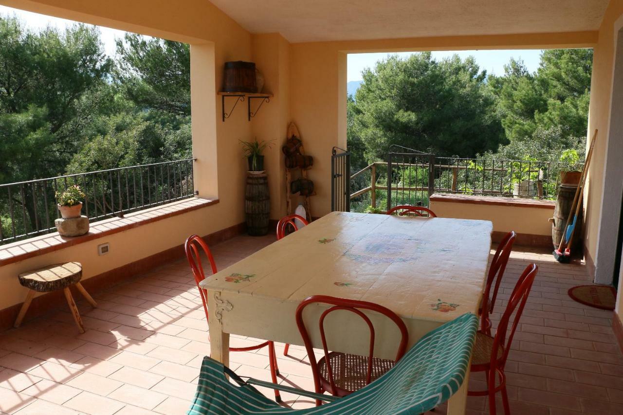 B&B Il Vigneto Trebisacce Exterior photo